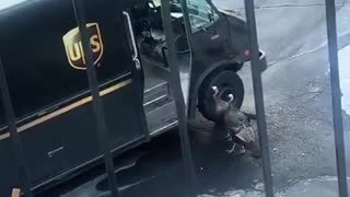 This UPS driver deserves a bonus!