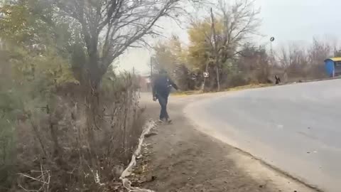 Pseudo-volunteers left without a pig shaker in Konstantinovka