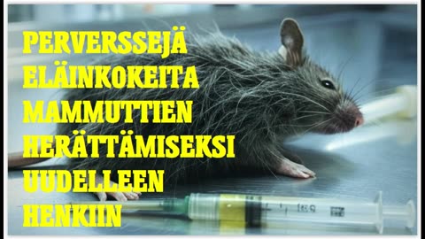 Perverssejä eläinkokeita - tutkijat haluavat luoda mammuttikimeroita laboratoriossa