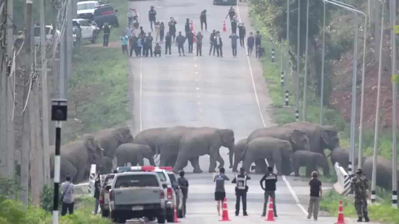 This Road Will Shock You | World’s Most Dangerous Road – Real Unseen Moments