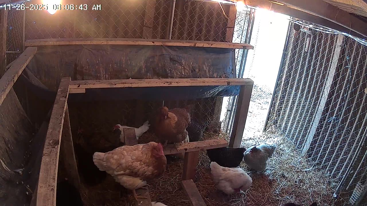 Sun Is Out, It's Not Raining.....Yet