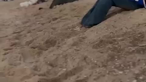 A Message from Gaza to the world