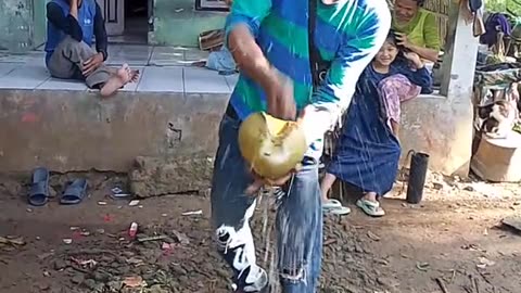 This man splits coconuts with just his hands