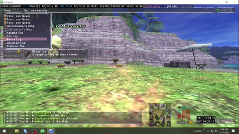 Playing Final Fantasy XI Online