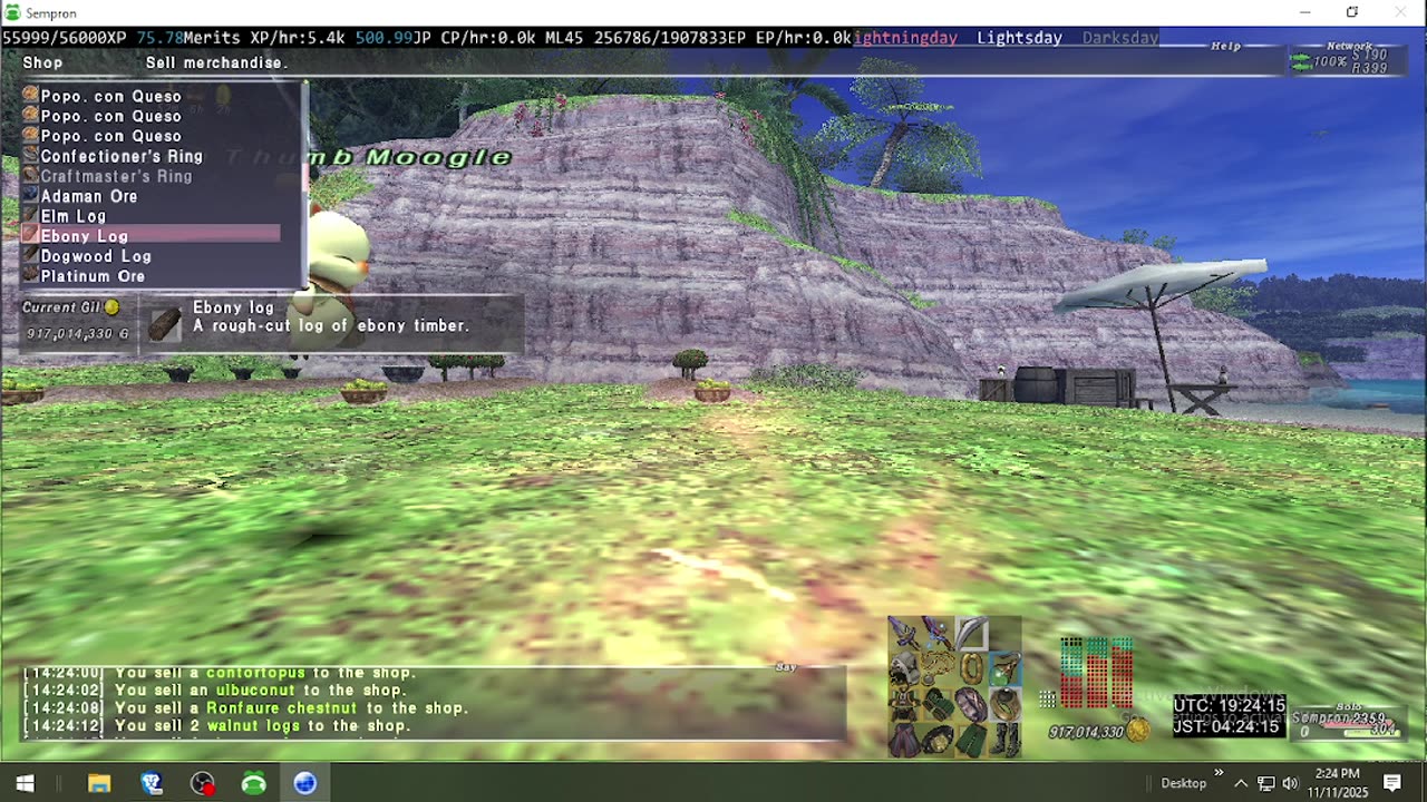 Playing Final Fantasy XI Online