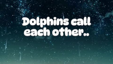Animal Fact