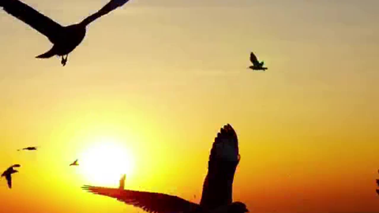 os melhores filmes comleto.mp4