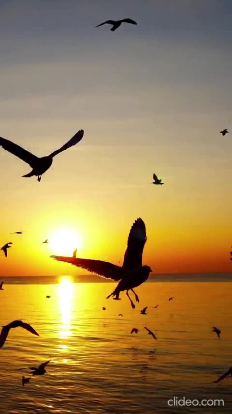 os melhores filmes comleto.mp4