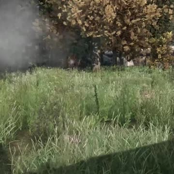 How To DOMINATE In A 1v3 In DayZ