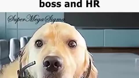 After 2 Months In The Office