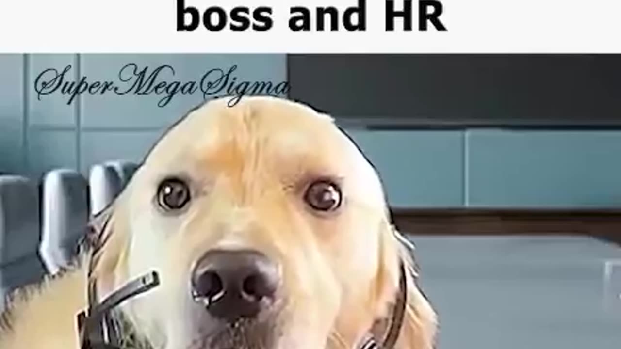 After 2 Months In The Office
