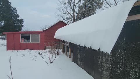 ICE CURTAIN - EXTREME FROZEN "WINTER WONDERLAND"