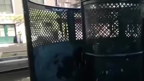 Imagine the smell of Amsterdam