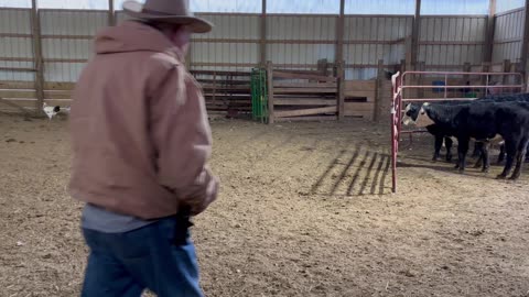 Ellie-Mae, 1/6/2026-1