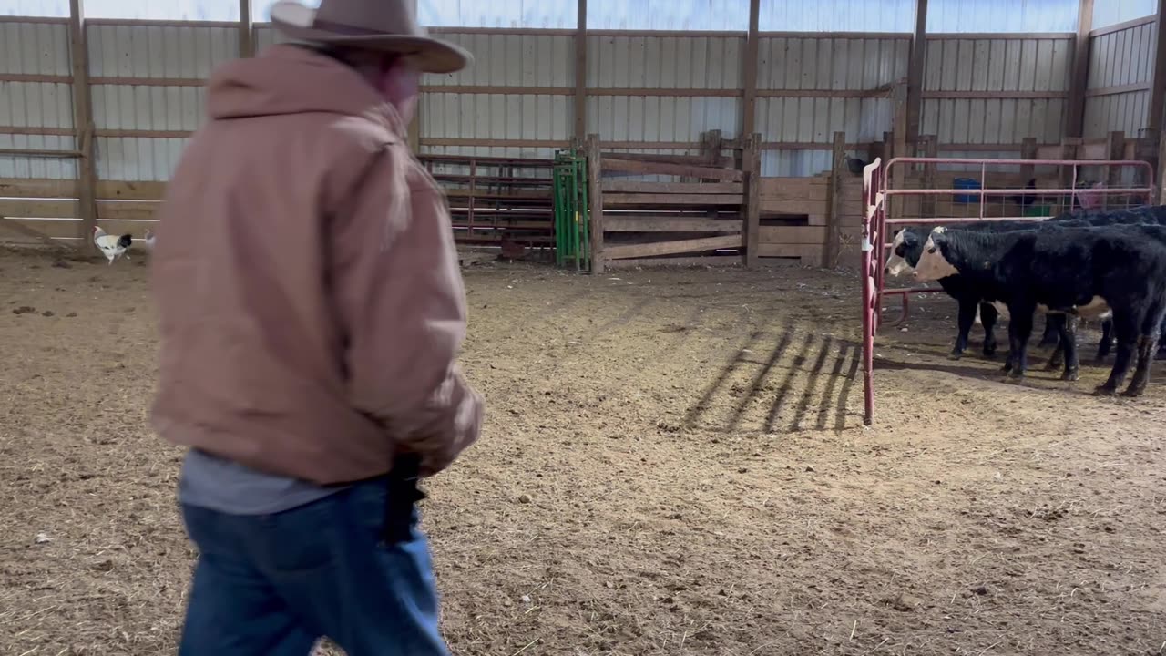 Ellie-Mae, 1/6/2026-1