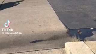 😱🔫 You Won't Believe This Intimidation Fail! | FunFM