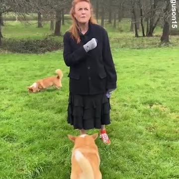 Sarah Ferguson shares Christmas message whilst walking Queen's corgis
