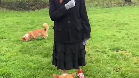 Sarah Ferguson shares Christmas message whilst walking Queen's corgis