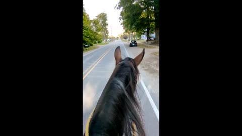 Ranger - clips of 2nd time in the village 11 Oct 2025