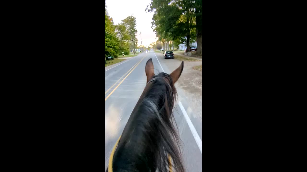 Ranger - clips of 2nd time in the village 11 Oct 2025