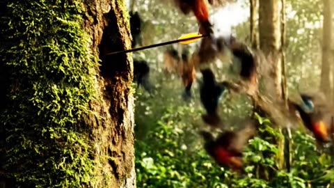 Primitive Technology