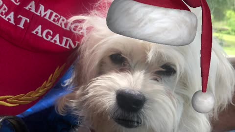 Patriot Loulou news MAGA Merry Xmas Patriots & Trump but not to the globalist
