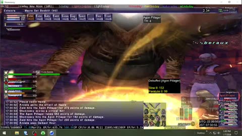 Playing Final Fantasy XI Online