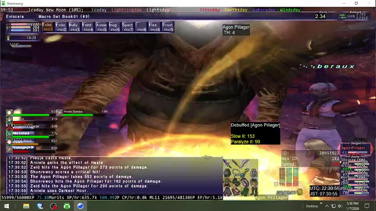 Playing Final Fantasy XI Online