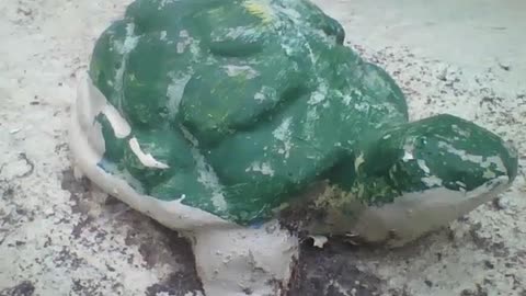 Small green stone-shaped turtle, is a beautiful work of art! [Nature & Animals]