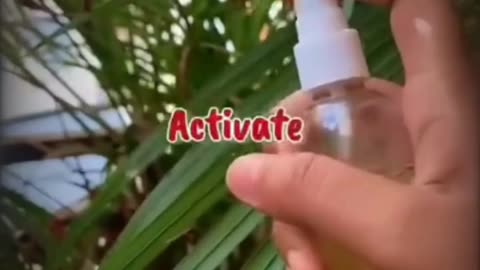 मर जाना पर यह पानी लगाने की गलती मत करना