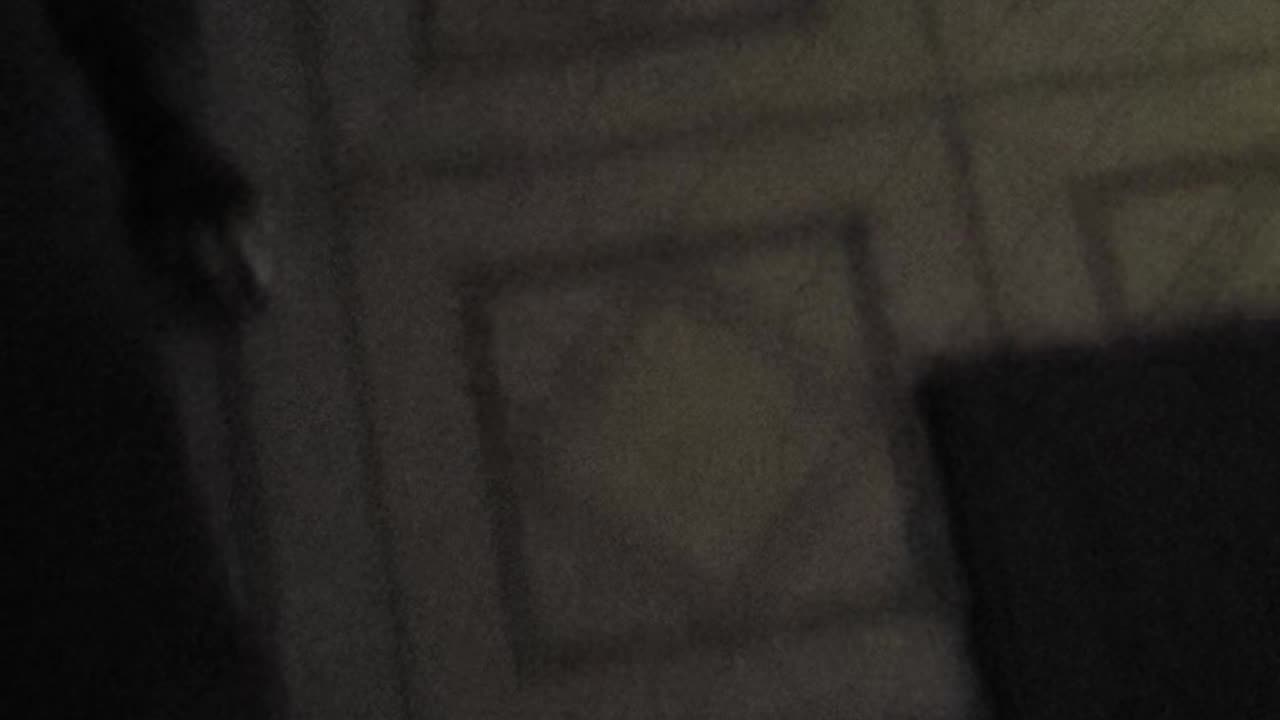 100225 Gretchen and Fenrir #dogs