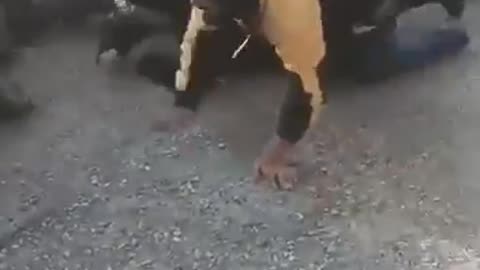Muslims are forcing other Muslims to crawl and bark like dogs as Syria descends further into chaos