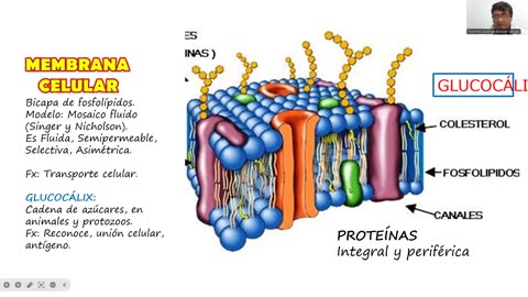 VONEX REPASO 2025 - 1 | Semana 01 | Biología S1