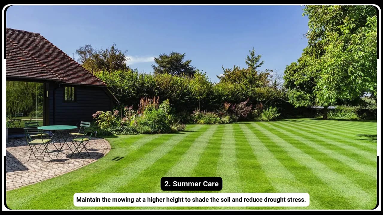 Lawn Care Solutions for Residences