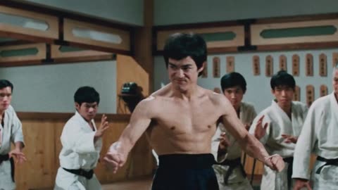 Bruce Lee: His Fists & Nunchucks Of Fury (Jeet Kune Do)