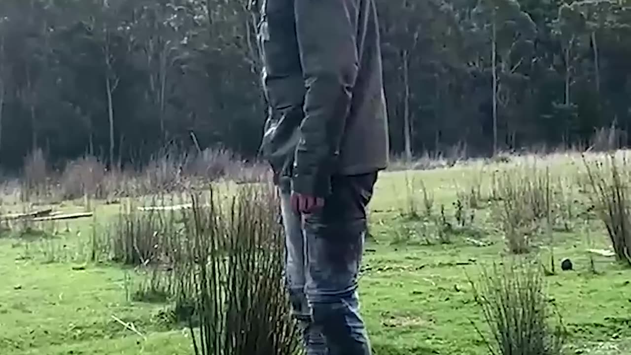 Real Life vs AI. part 5
