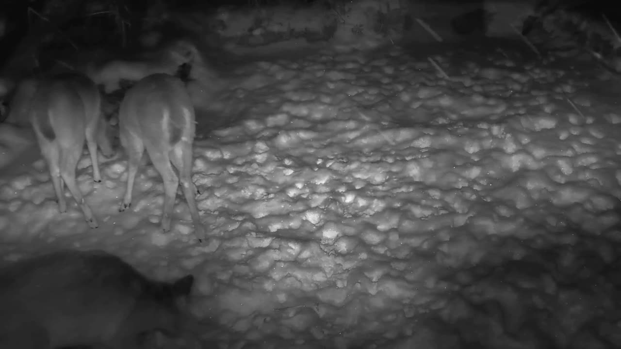 3AM in the HOLE, last look at winter before it's gone