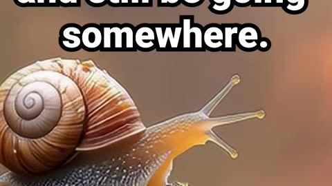 You’re allowed to go slow and still be going somewhere #motivational #relaxbeforesleep