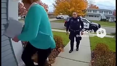 Plastic Flamingo Lawn Crime Enforcement Agent, Karen, meets the P.D.s K-9 and its buddy