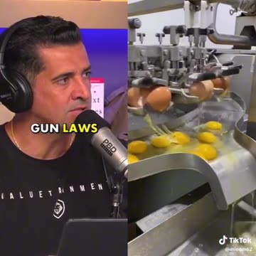 States and Gun Laws (Idaho Vs Illinois)