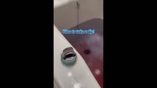 Daddy Goat 24/7 - Out Of Context Memes & Videos