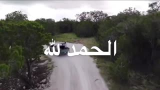 Daddy Goat 24/7 - Out Of Context Memes & Videos