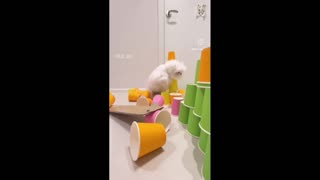 Daddy Goat 24/7 - Out Of Context Memes & Videos