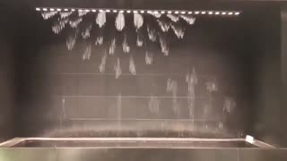 Daddy Goat 24/7 - Out Of Context Memes & Videos