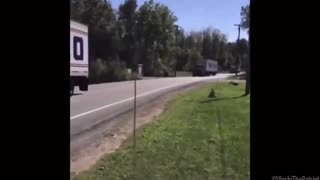 Daddy Goat 24/7 - Out Of Context Memes & Videos