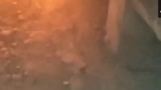 Daddy Goat 24/7 - Out Of Context Memes & Videos