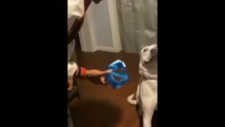 Daddy Goat 24/7 - Out Of Context Memes & Videos