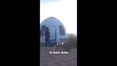 Daddy Goat 24/7 - Out Of Context Memes & Videos