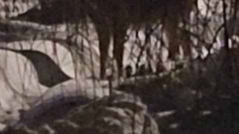 New Deer based Venue to be developed at Skunk Hollow Rose Gardens