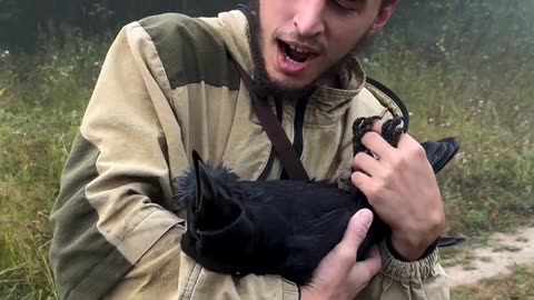Huge human like Black Crow